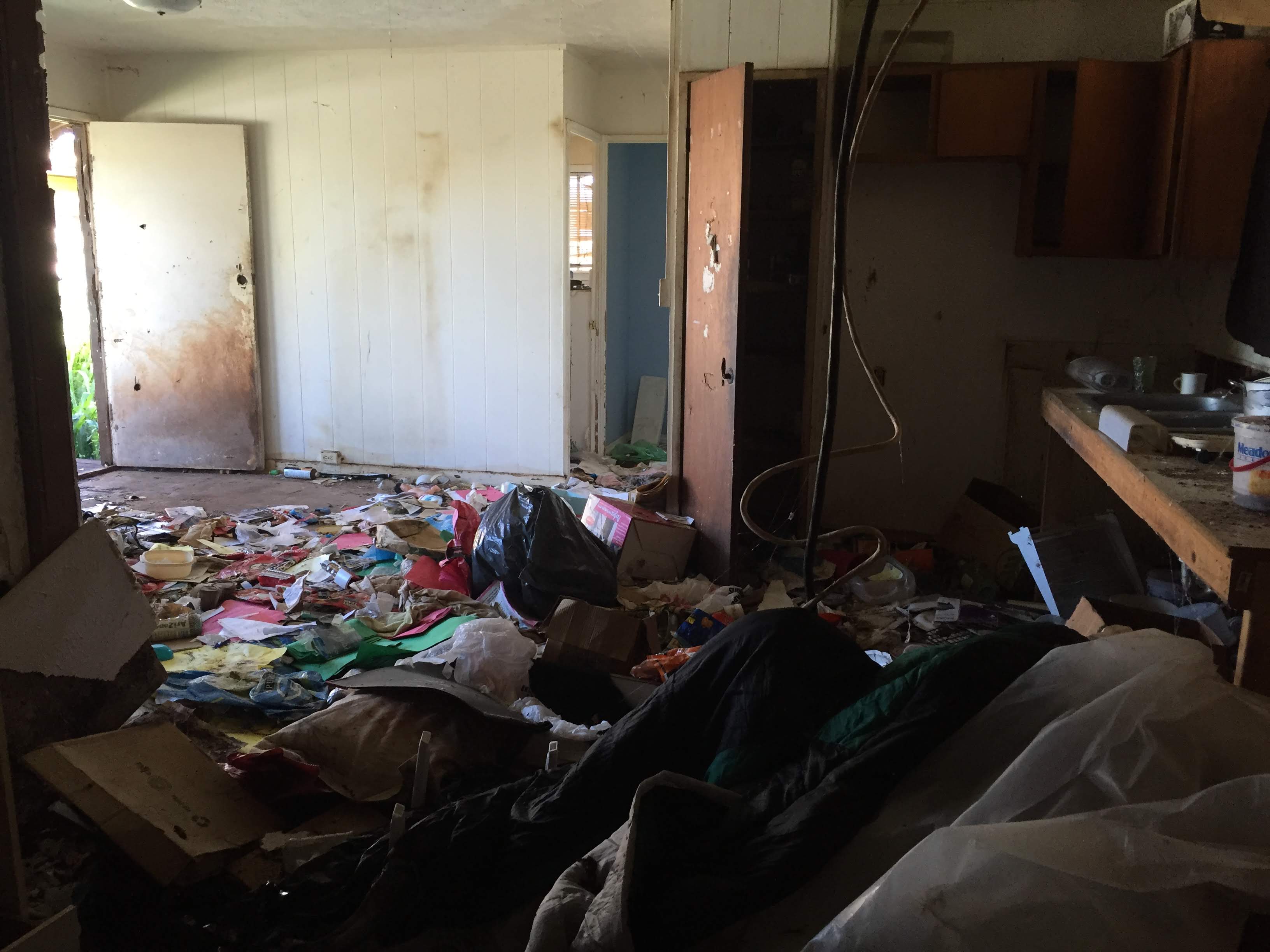 Before cleanup — conditions